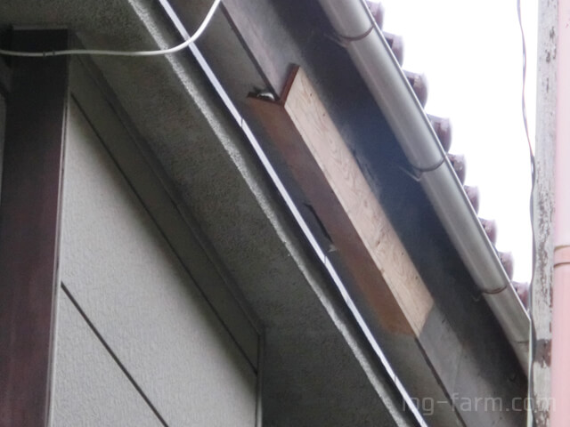 補修された軒天