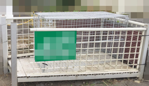 新しく設置したゴミストッカー