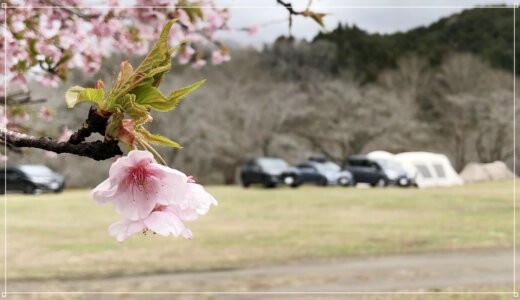 【出撃記録】3月はお花見キャンプ＠桜咲くカントリーパーク大川へ