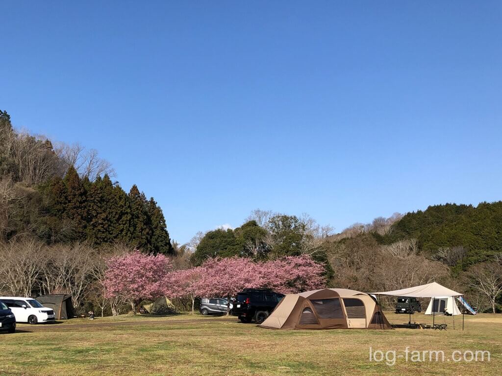 桜咲くカントリーパーク大川