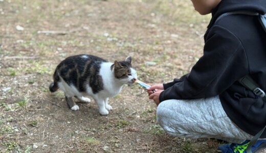 【出撃記録】もはや動物園！？会員制のキャンプ場WOODs LandMio（ウッズランドミオ）で初キャンプ