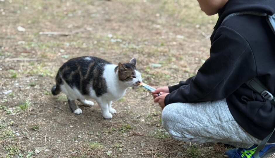 会員制のWOODs LandMio（ウッズランドミオ）で初キャンプ